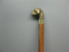 Classic Victorian walking stick cane with solid brass handle and engraved detailing, comfortable grip