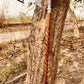 Vintage Axe Walking Stick Cane, Antique Walking Cane